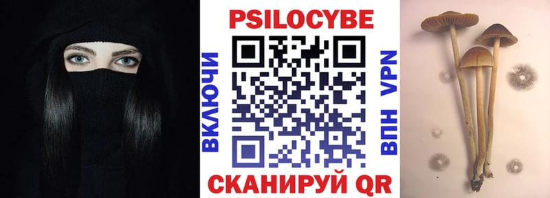 Купить закладки  Сосновоборск  Псилоцибиновые грибы мицелий 